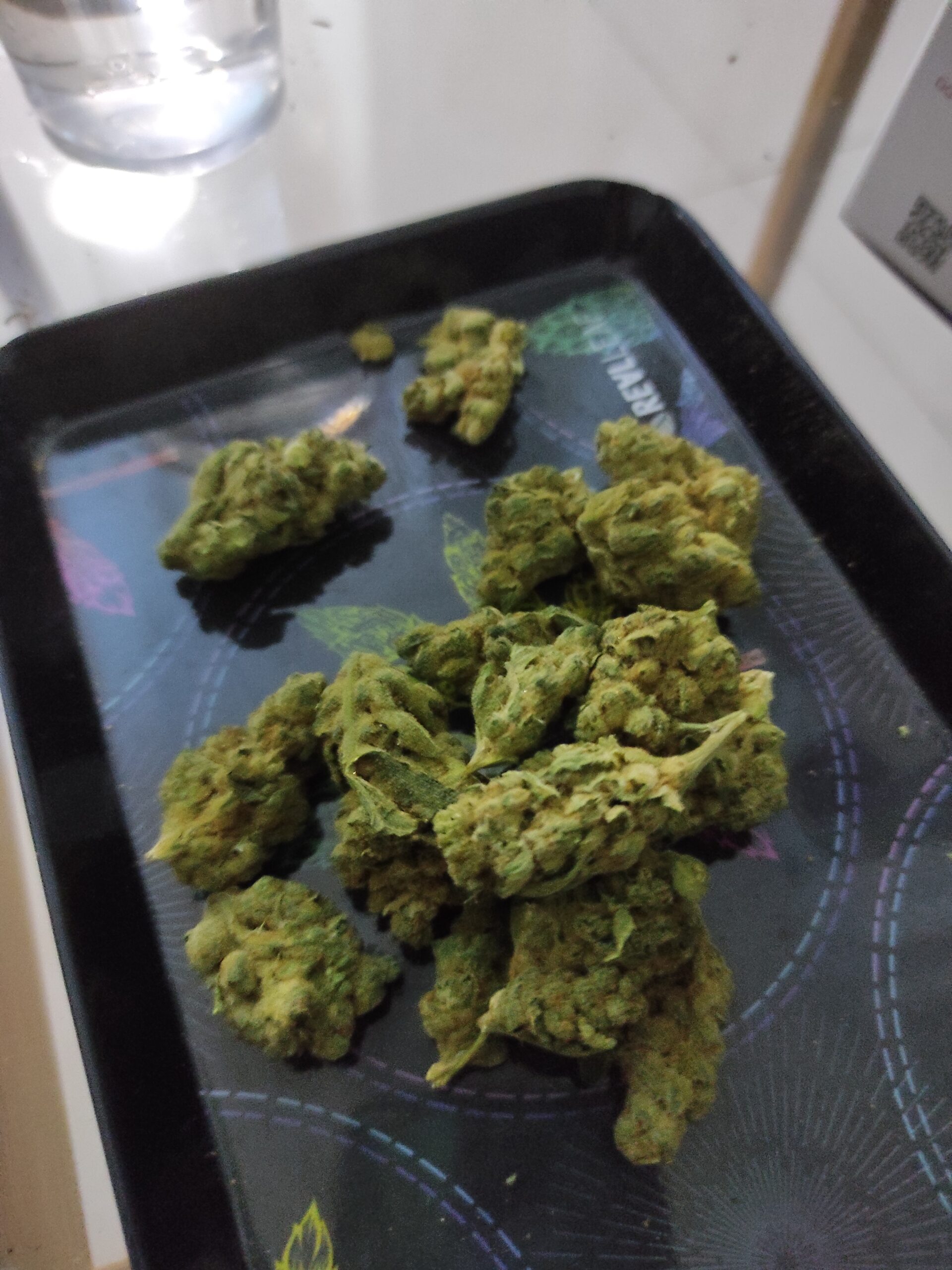 טאהו אוג'י קוש (Tahoe OG Kush) - היבריד T22/C4 – תמונה 7