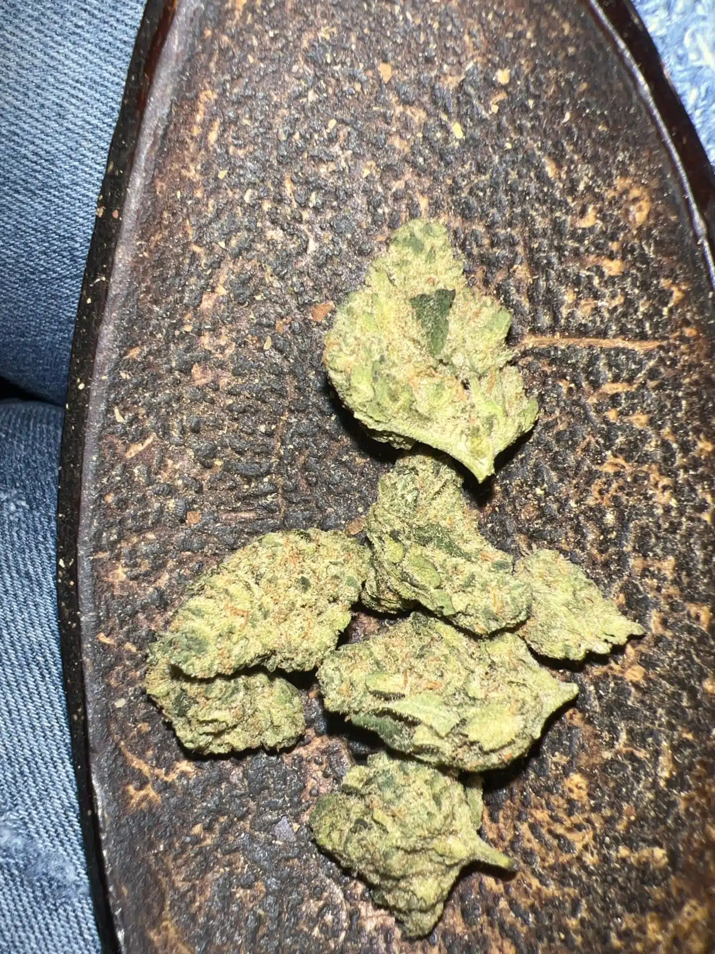 ⁦טנג'י קוש (Tangie Kush) - אינדיקה T22/C4⁩ – תמונה ⁦10⁩