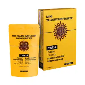 ילו סאנפלאוור מיני (Yellow Sunflower Mini) – סאטיבה T22/C4