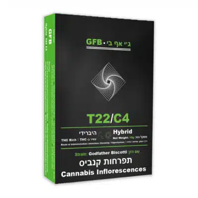 ג'י אף בי (gfb) היבריד t22/c4
