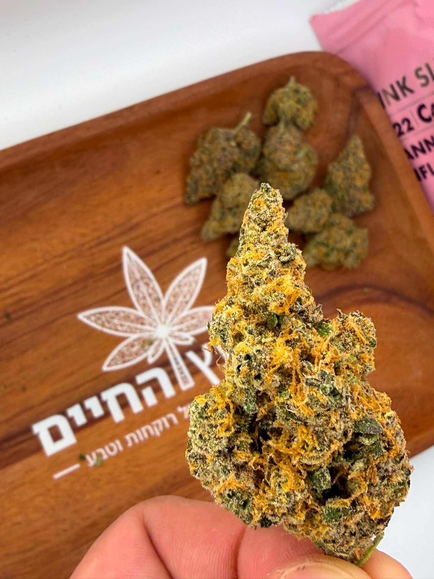 פינק סלוריקיין (pink slurricane) אינדיקה t22/c4