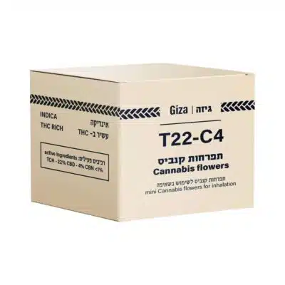 גיזה (giza) אינדיקה t22/c4