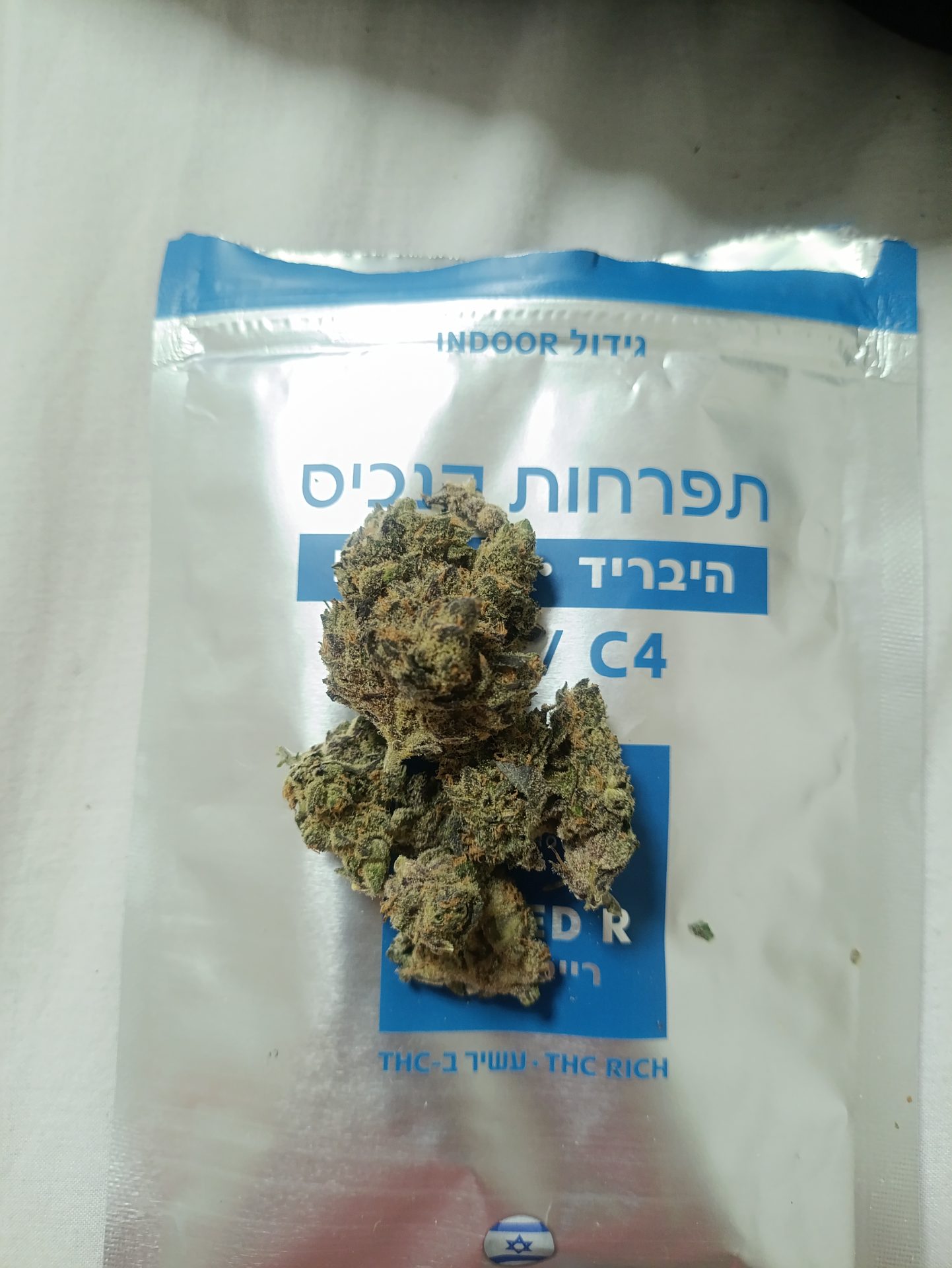 אר.אר (rr) היבריד t22/c4