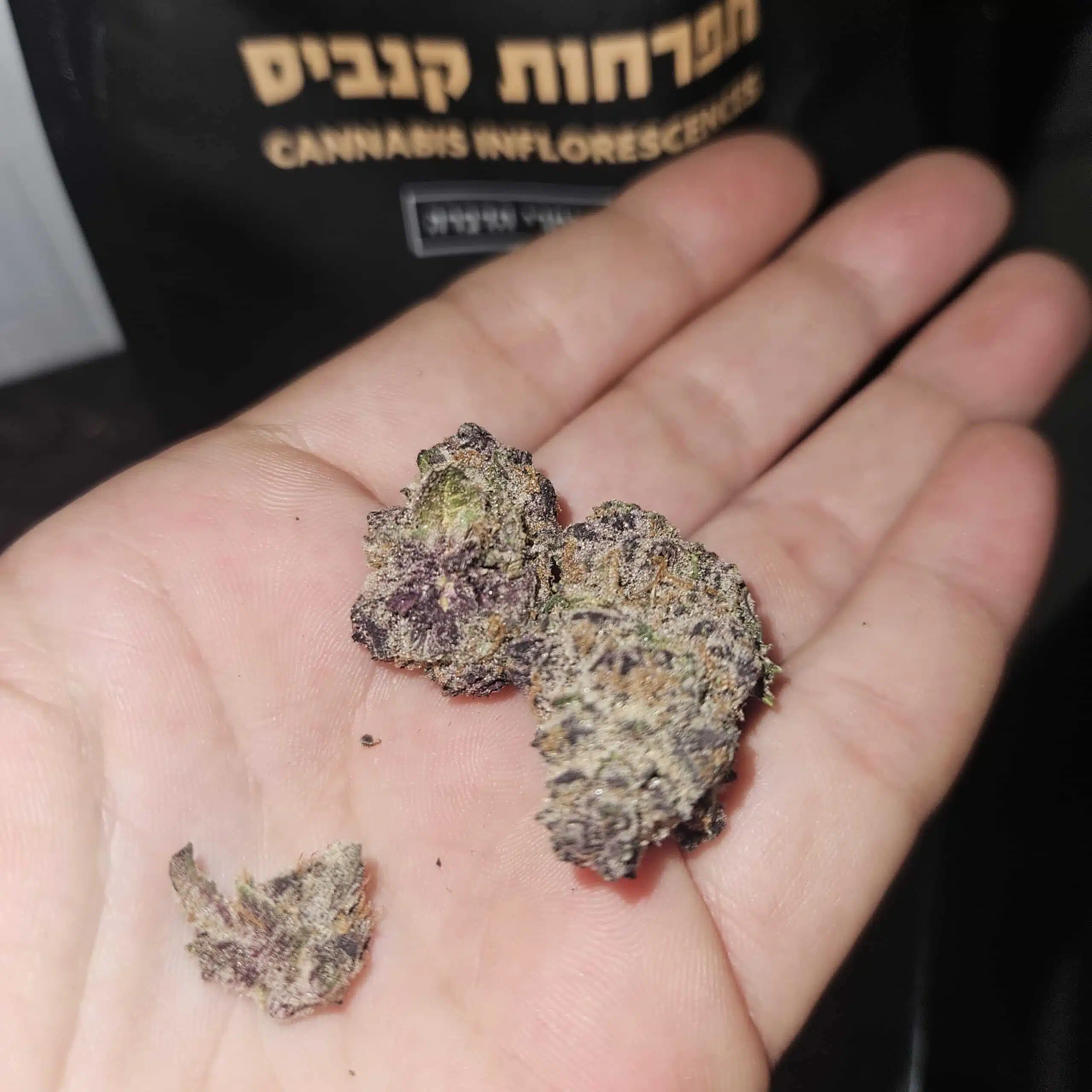 ⁦עמר (Omer) - אינדיקה T22/C4⁩ – תמונה ⁦6⁩