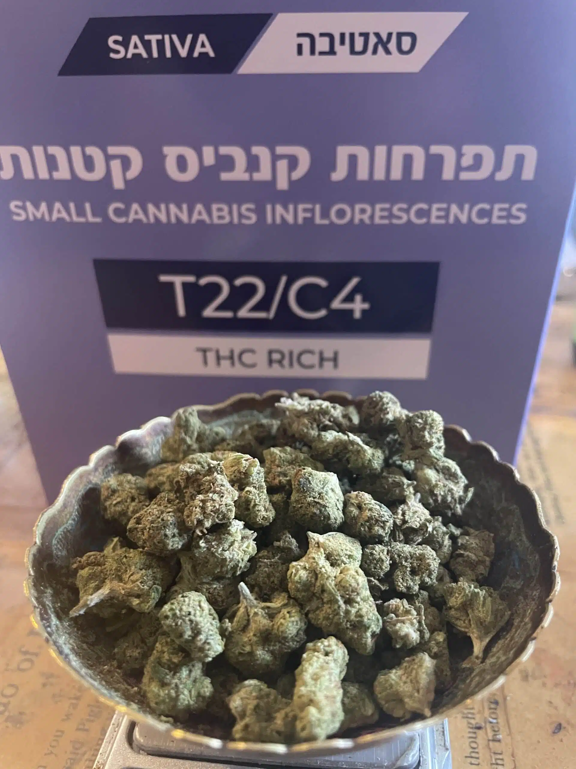 מיסט מיני (mist mini) סאטיבה t22/c4