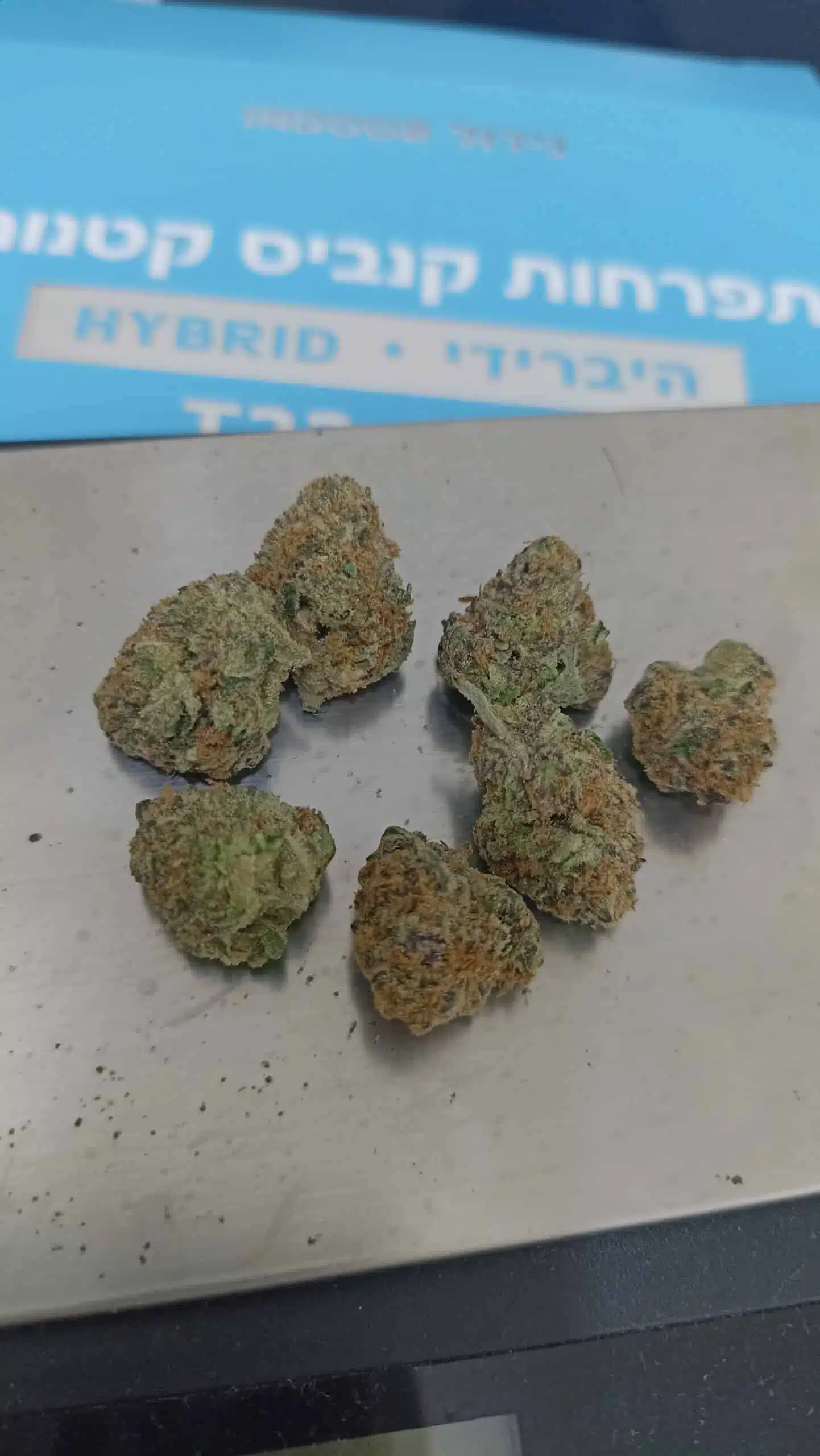 אר.אר מיני (RR Mini) - היבריד T22/C4 – תמונה 5