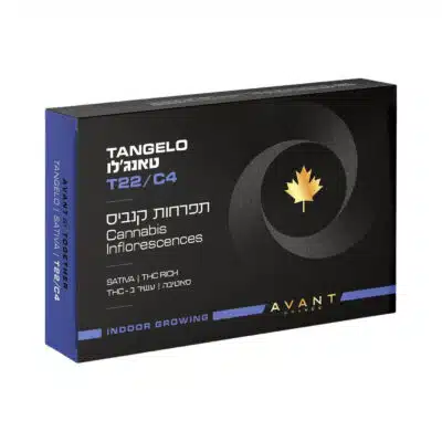 טאנג'לו (tangelo) סאטיבה t22/c4