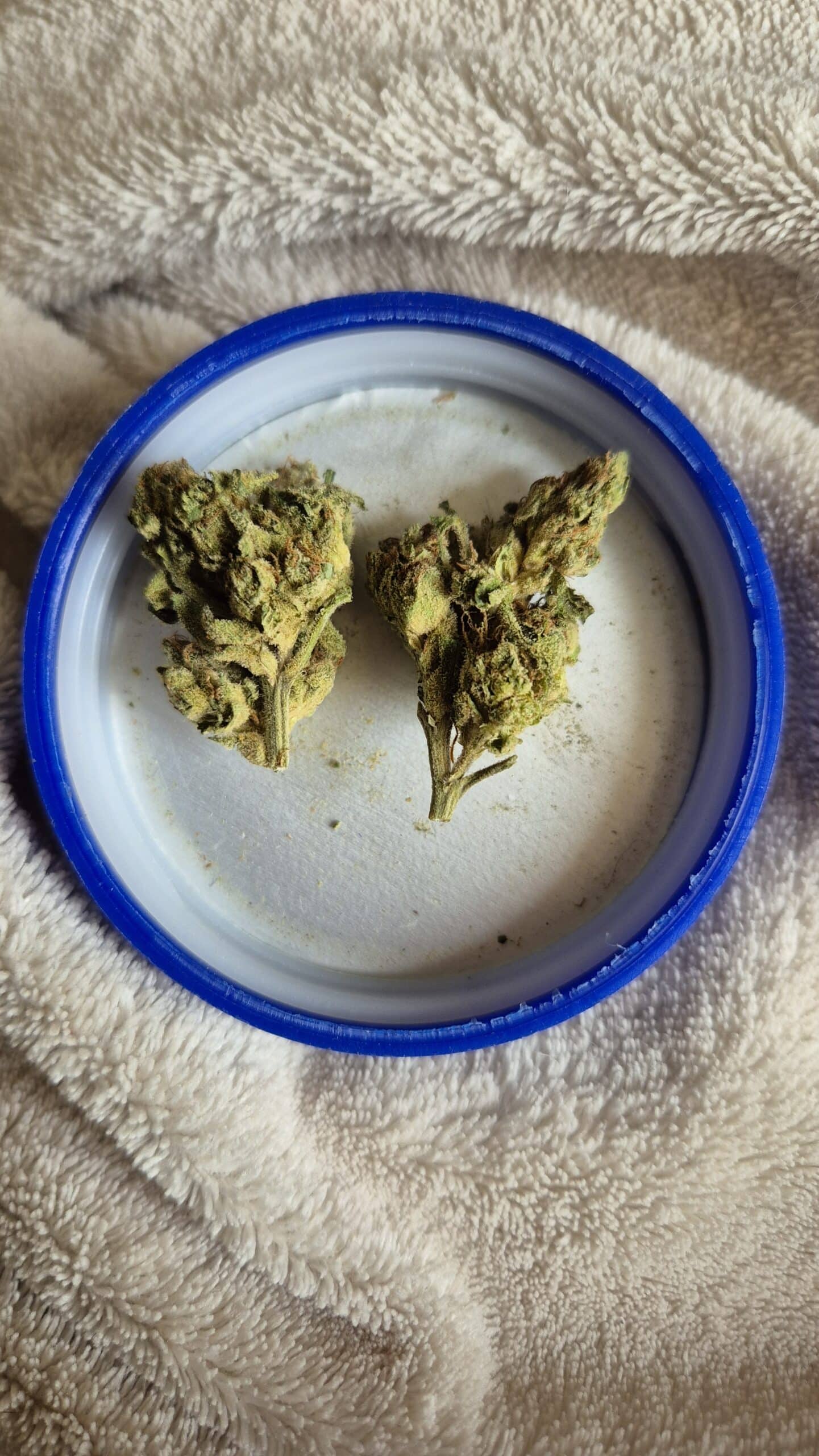 קאליפה קוש ק.ק (Khalifa Kush K.K) - אינדיקה T22/C4 – תמונה 6