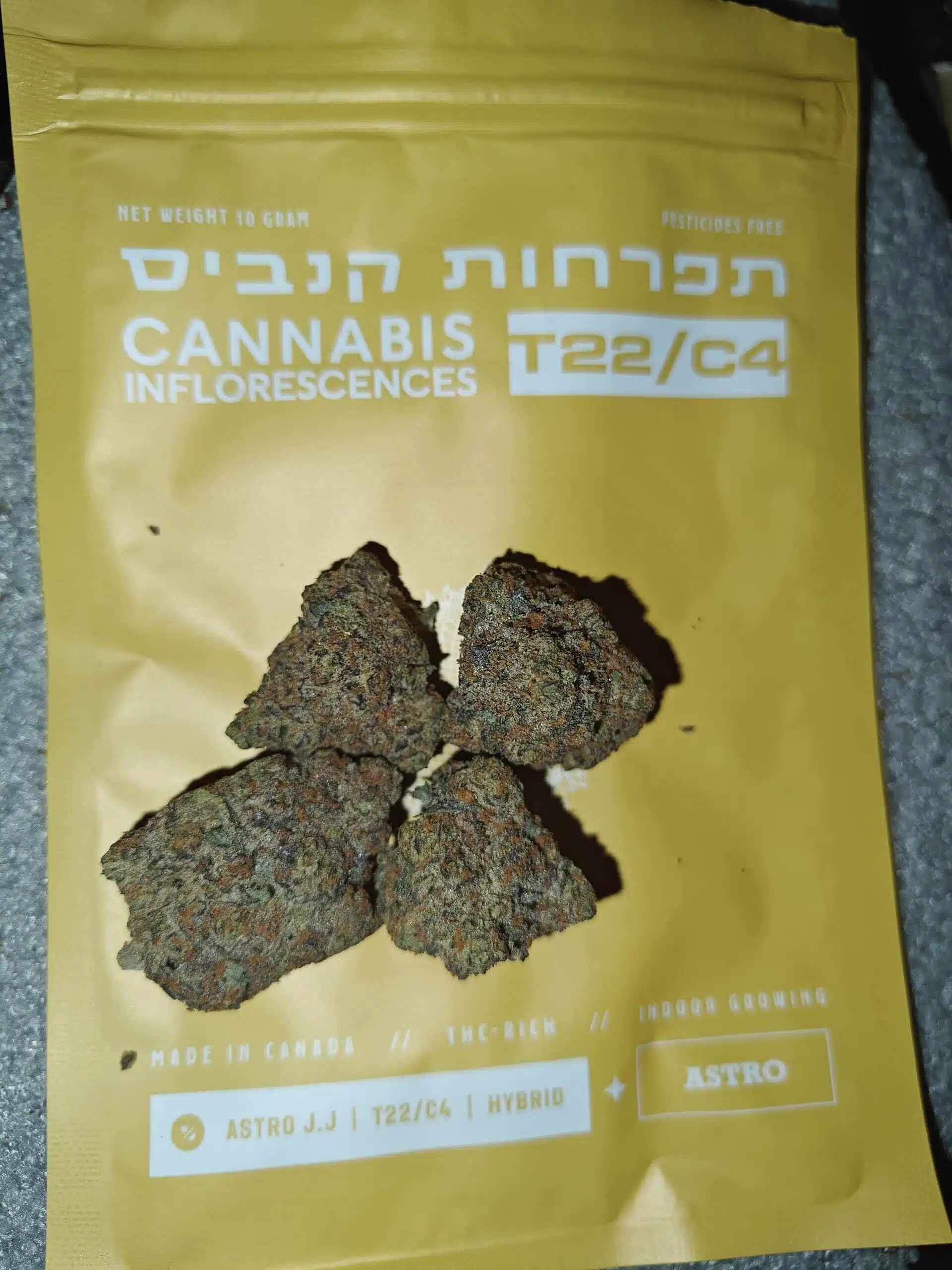 ⁦אסטרו ג'יי ג'יי (Astro J.J) - היבריד T22/C4⁩ – תמונה ⁦10⁩