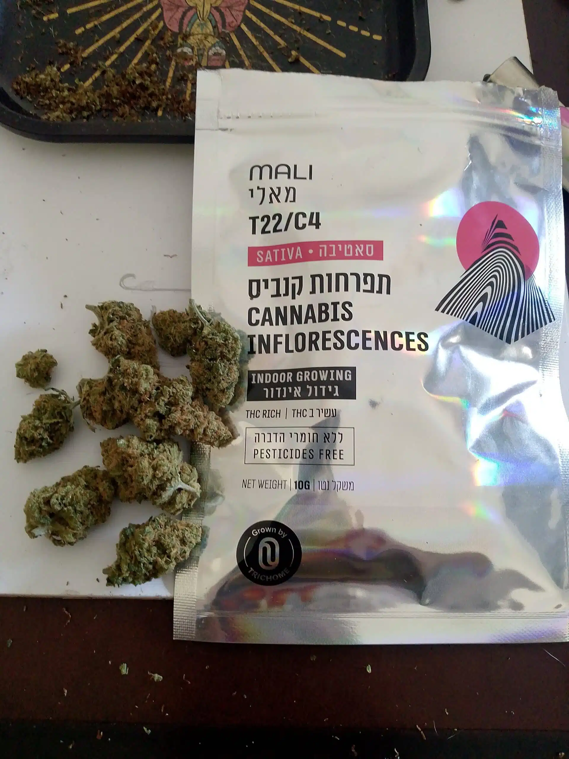 ⁦מאלי (‎Mali) - סאטיבה T22/C4⁩ – תמונה ⁦2⁩