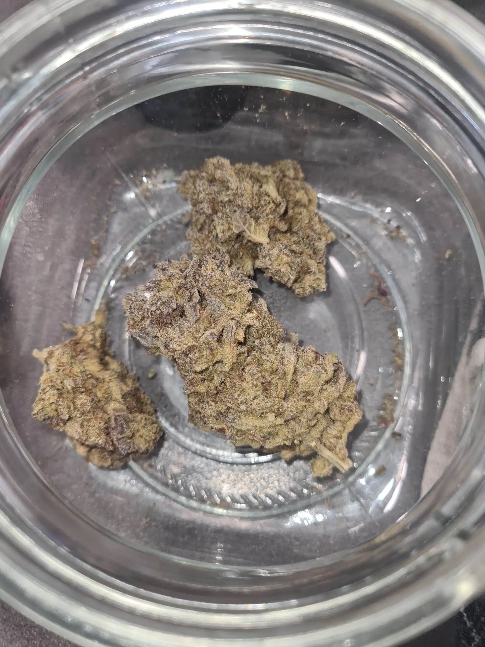 גוואיוזה (guayusa) סאטיבה t22/c4