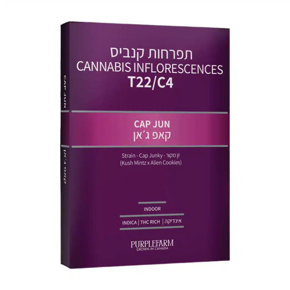 קאפ ג'אן (Cap Jun) - אינדיקה T22/C4