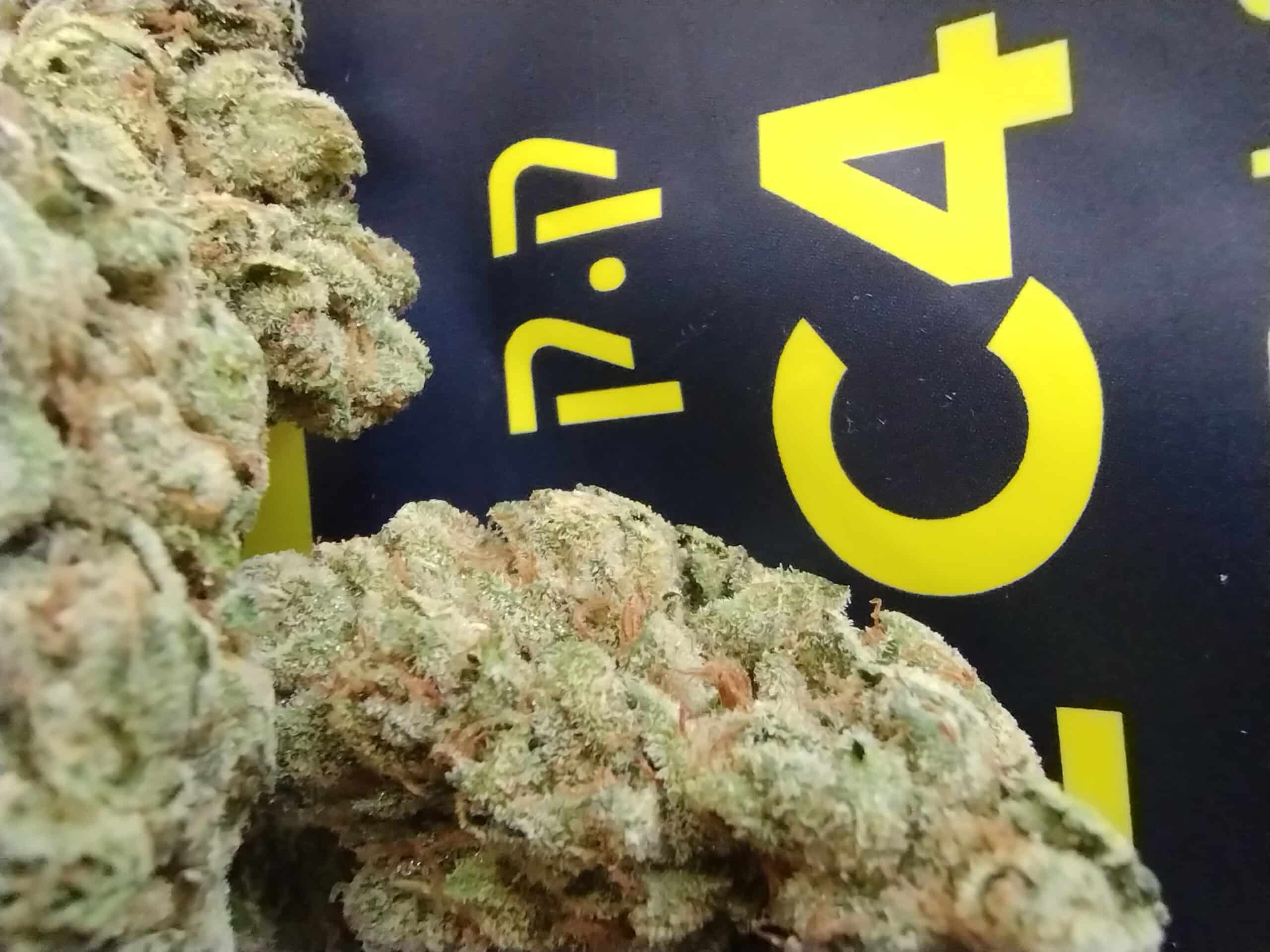 קאליפה קוש ק.ק (Khalifa Kush K.K) - אינדיקה T22/C4 – תמונה 4