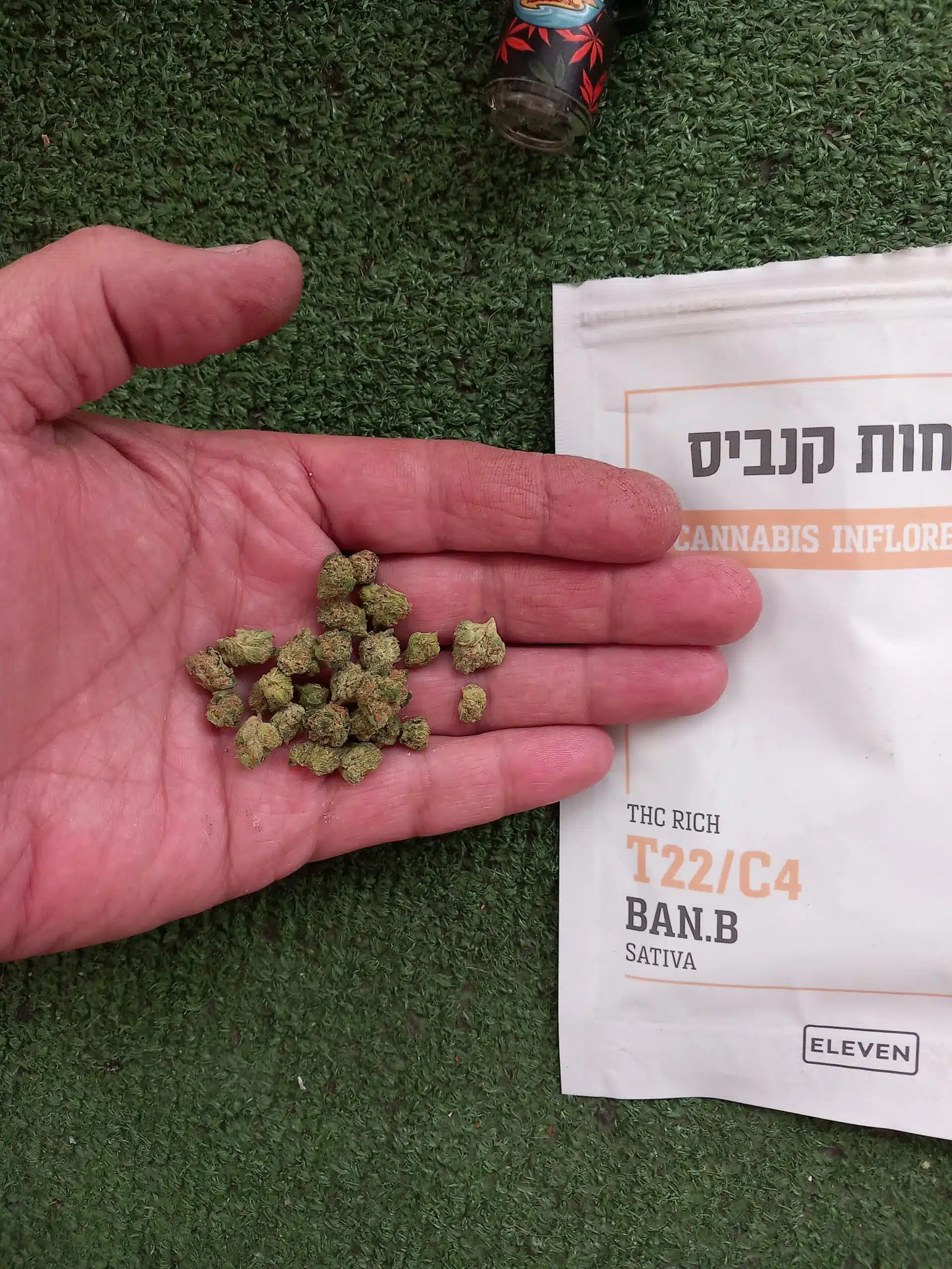 ⁦באן.בי (Ban.B) - סאטיבה T22/C4⁩ – תמונה ⁦6⁩