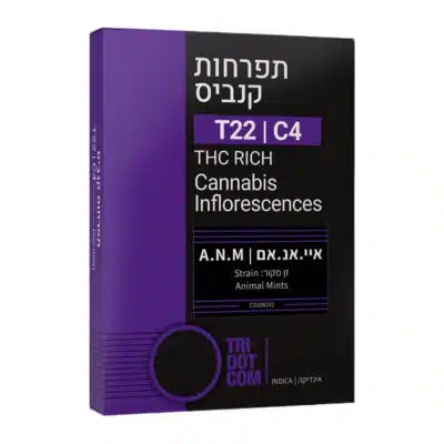 איי.אנ.אם (a.n.m) אינדיקה t22/c4
