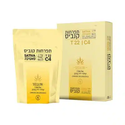 קולור ליין צהוב (color line yellow) סאטיבה t22/c4