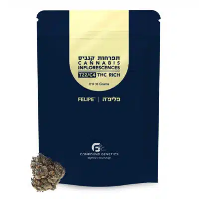 פליפה (felipe) אינדיקה t22/c4