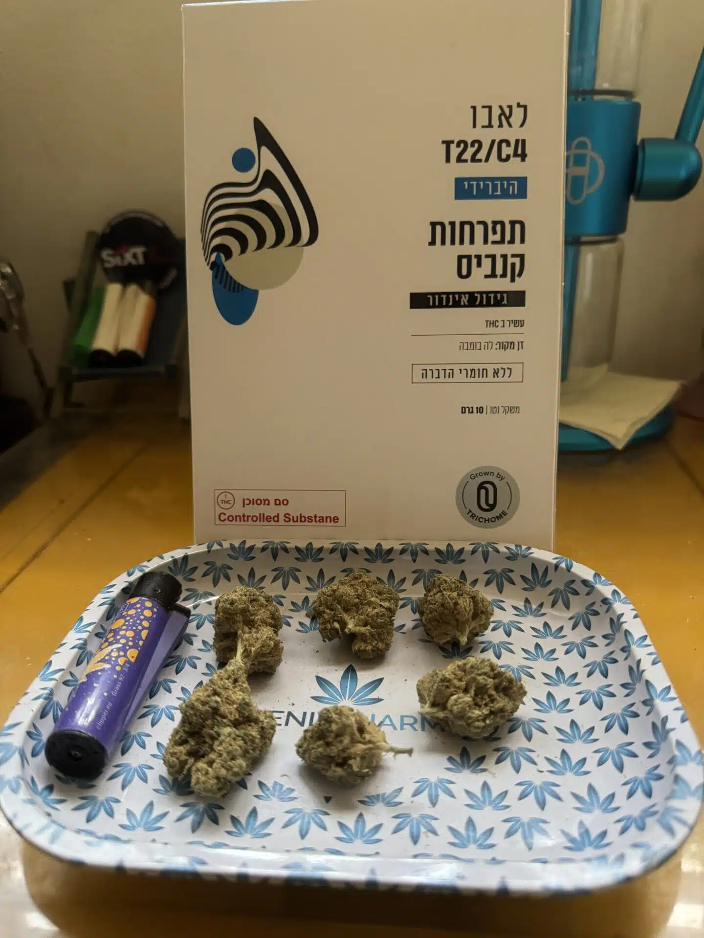 לאבו (Labo) - היבריד T22/C4 – תמונה 2