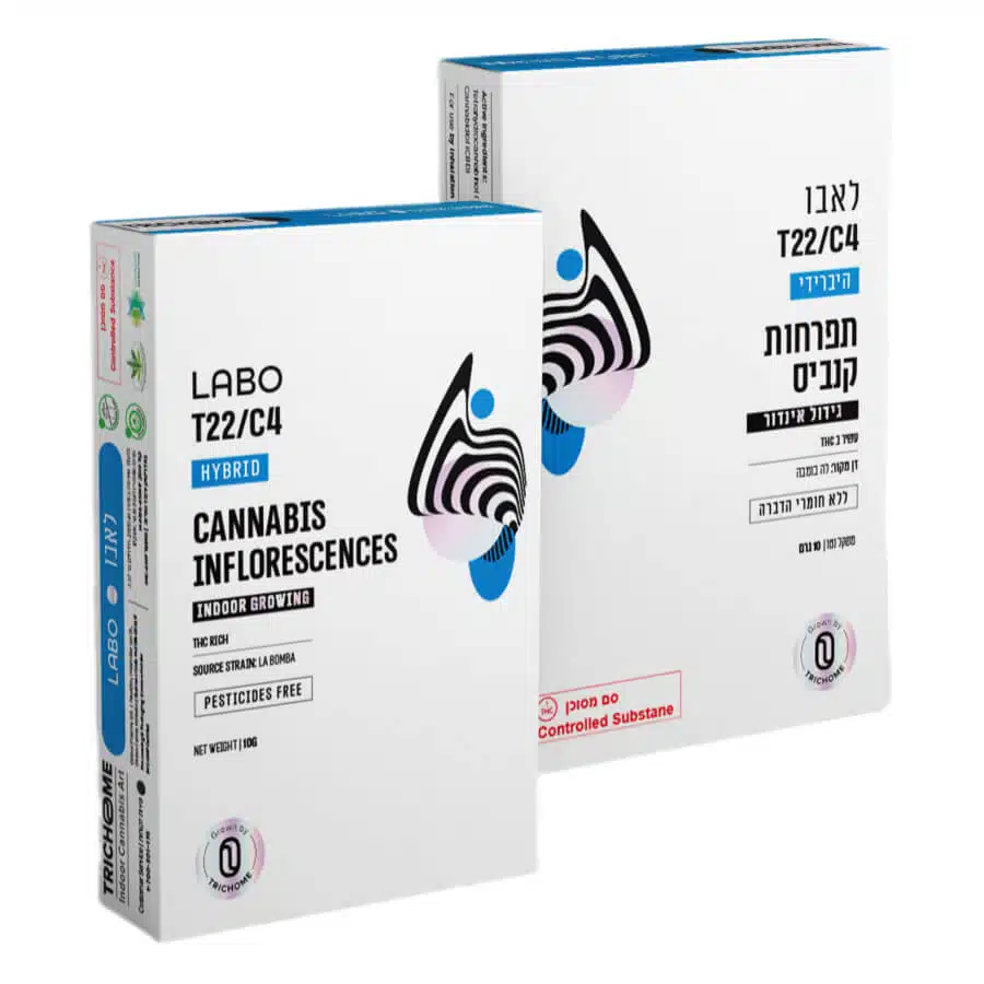 לאבו (labo) היבריד t22/c4