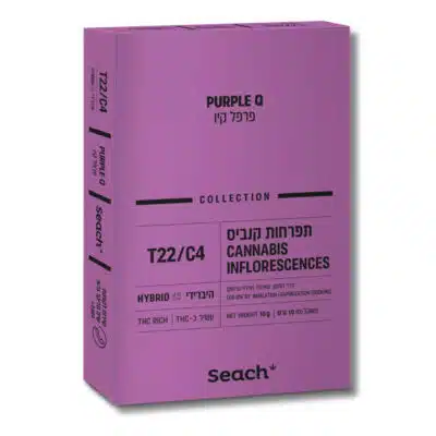 אריזת פרפל קיו (Purple Q) - היבריד T22/C4
