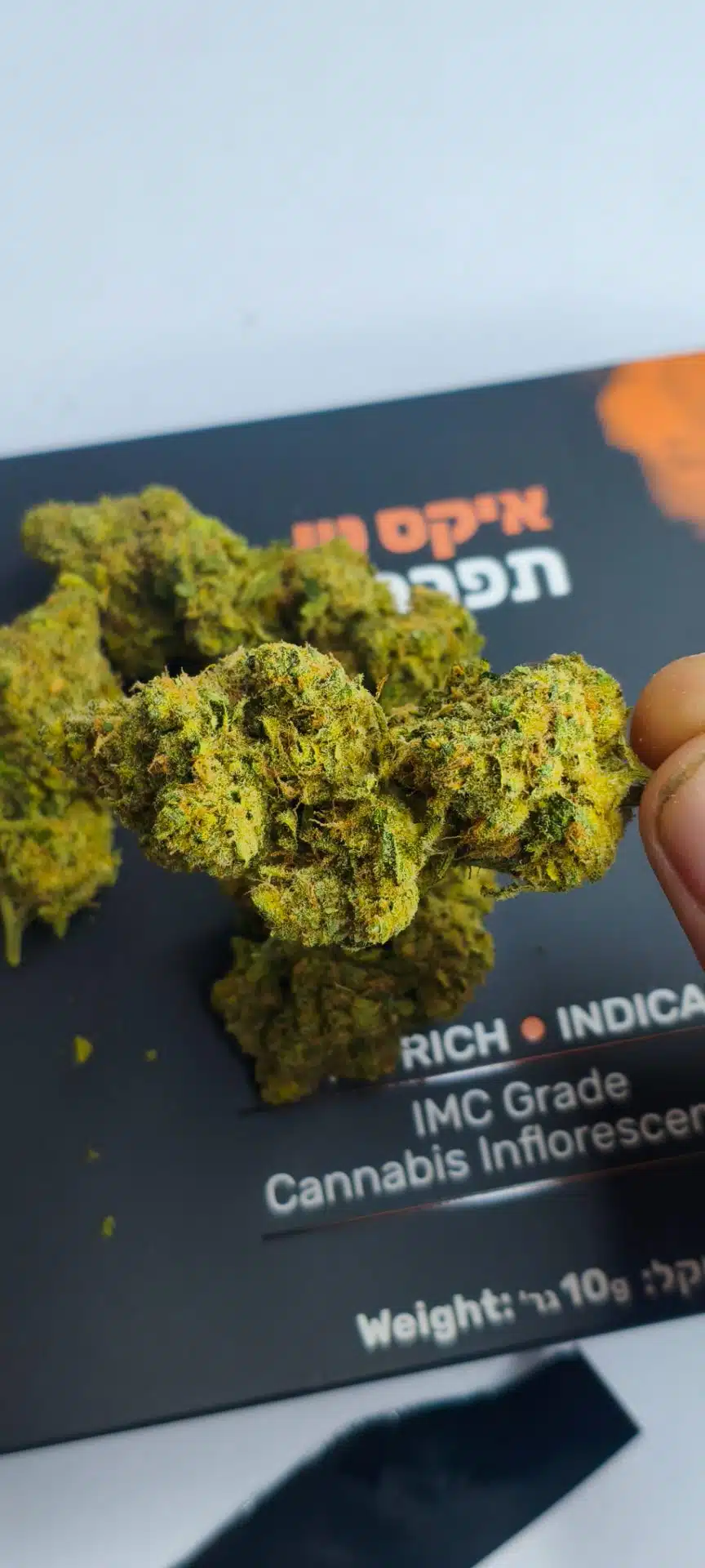 איקס טי (x.t) אינדיקה t22/c4