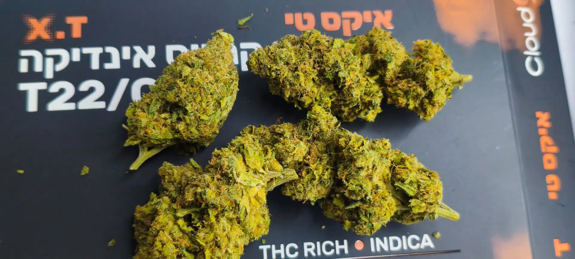 איקס טי (x.t) אינדיקה t22/c4