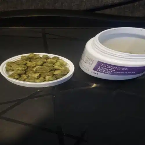 אם קיי קוש מיני (mk kush mini) אינדיקה t22/c4