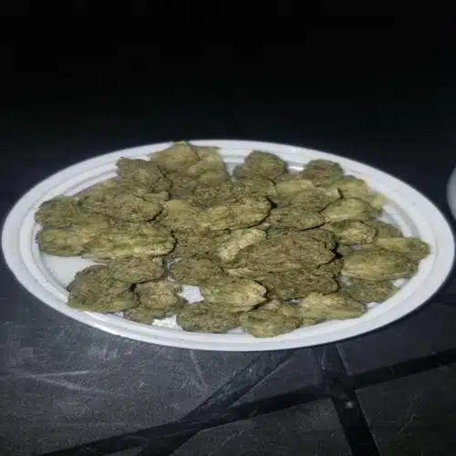 אם קיי קוש מיני (mk kush mini) אינדיקה t22/c4