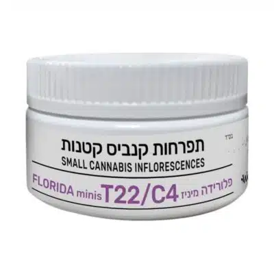 פלורידה מיניז (Florida Miniz) - אינדיקה T22/C4
