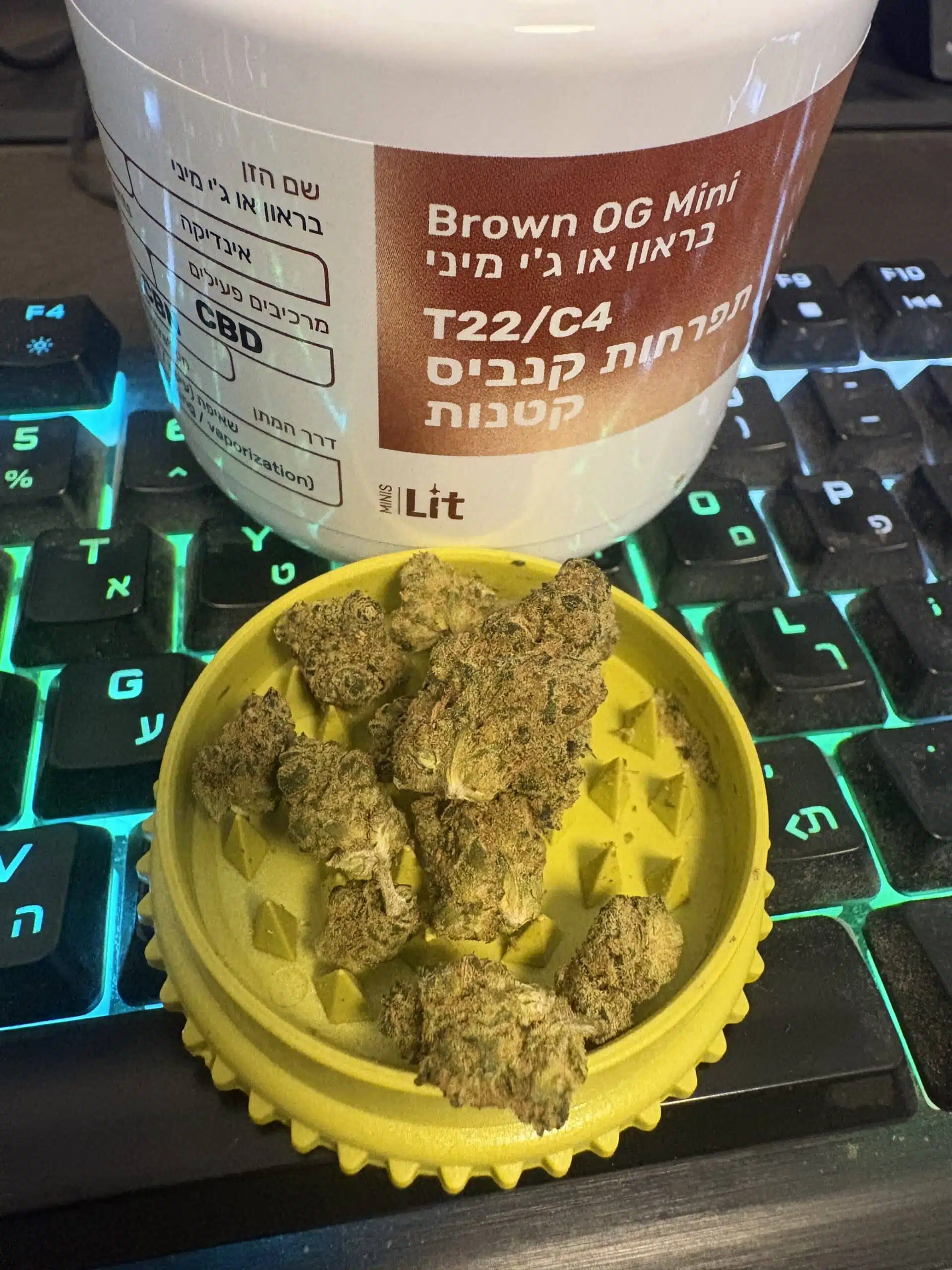 בראון אוג'י מיני (brown og mini) אינדיקה t22/c4