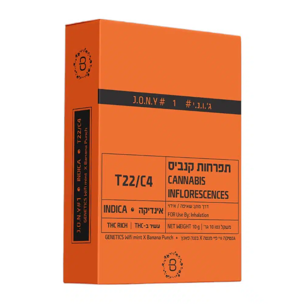 אריזת ג'.ו.נ.י #1 (J‎.‎O‎.‎N‎.‎Y‎ ‎#‎1‎) - אינדיקה T22/C4