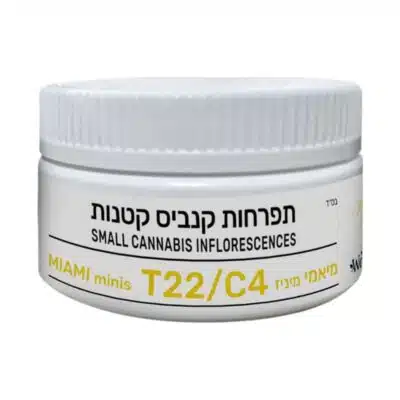 מיאמי מיניז (miami miniz) סאטיבה t22/c4