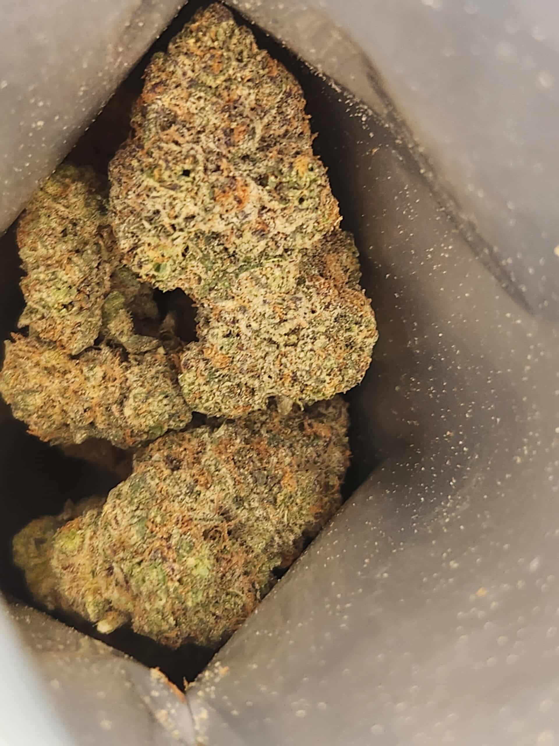 קנ'ז קוש (Ken's Kush) - היבריד T22/C4 – תמונה 4