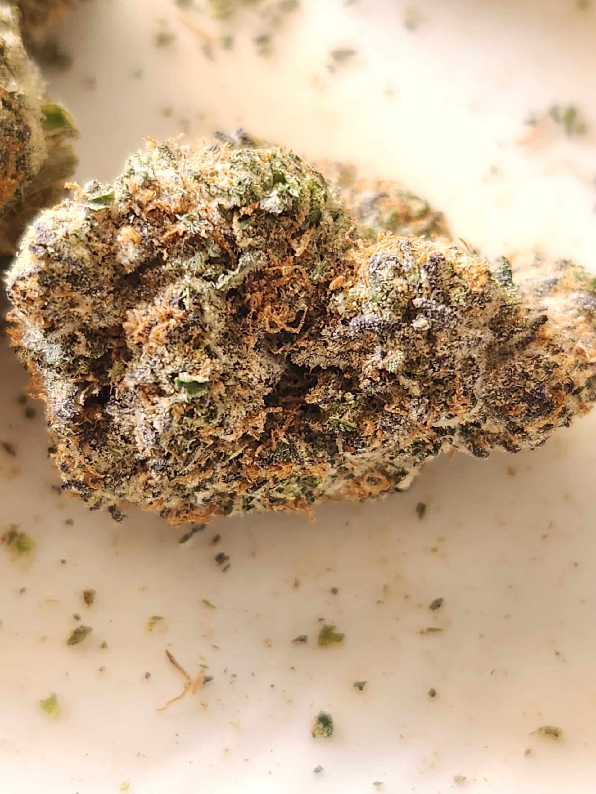 קנ'ז קוש (Ken's Kush) - היבריד T22/C4 – תמונה 6