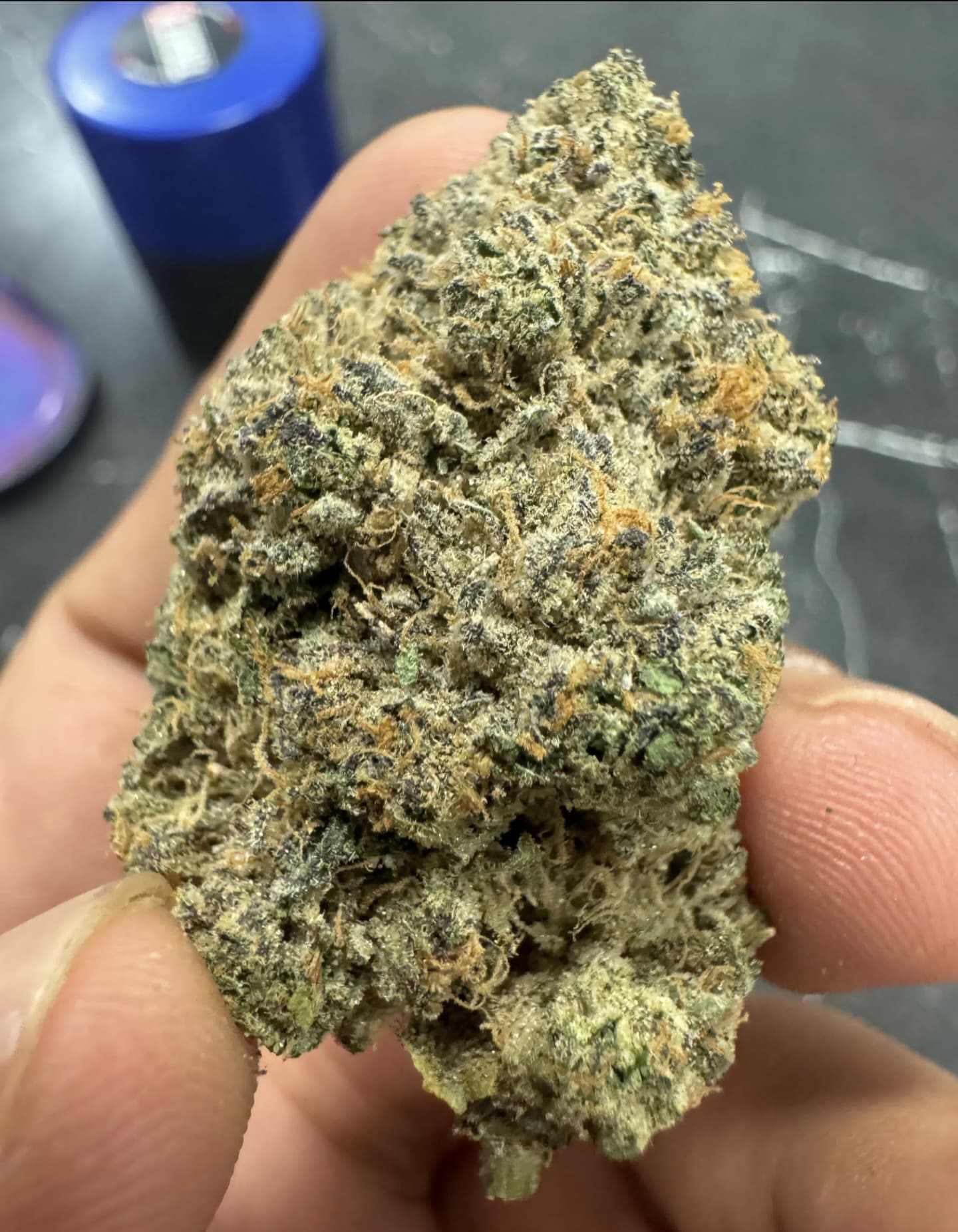 קנ'ז קוש (Ken's Kush) - היבריד T22/C4 – תמונה 3