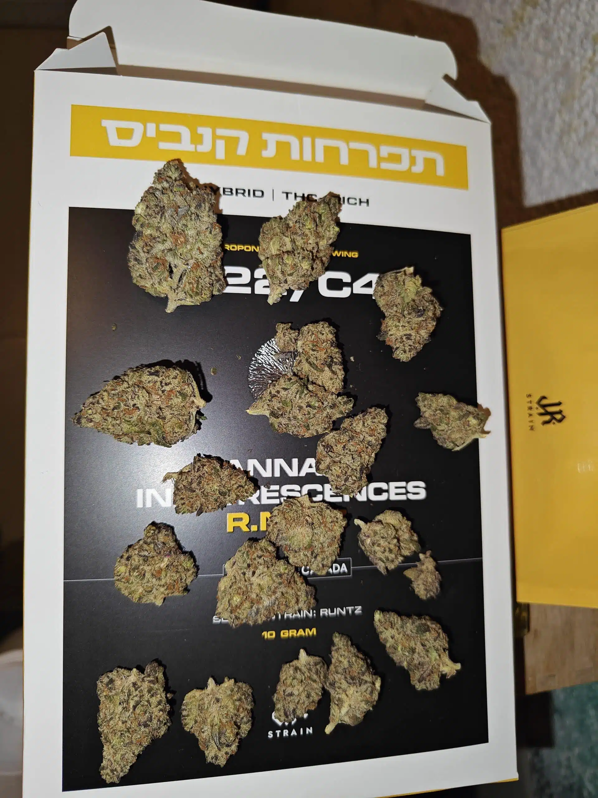 אר.אן.טי.זד (R.N.T.Z) - היבריד T22/C4 – תמונה 4