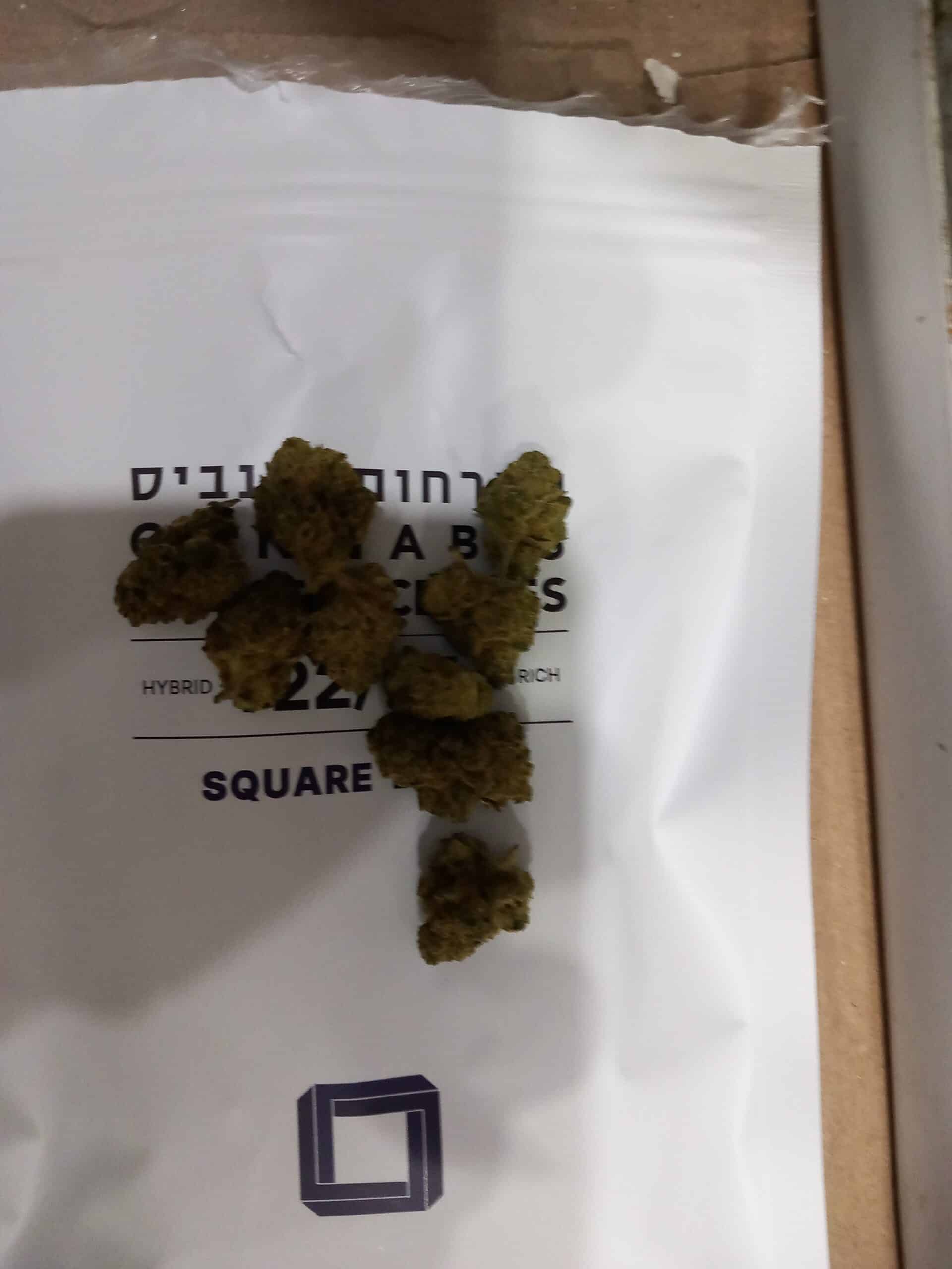 ריבוע (Square) - היבריד T22/C4 – תמונה 2
