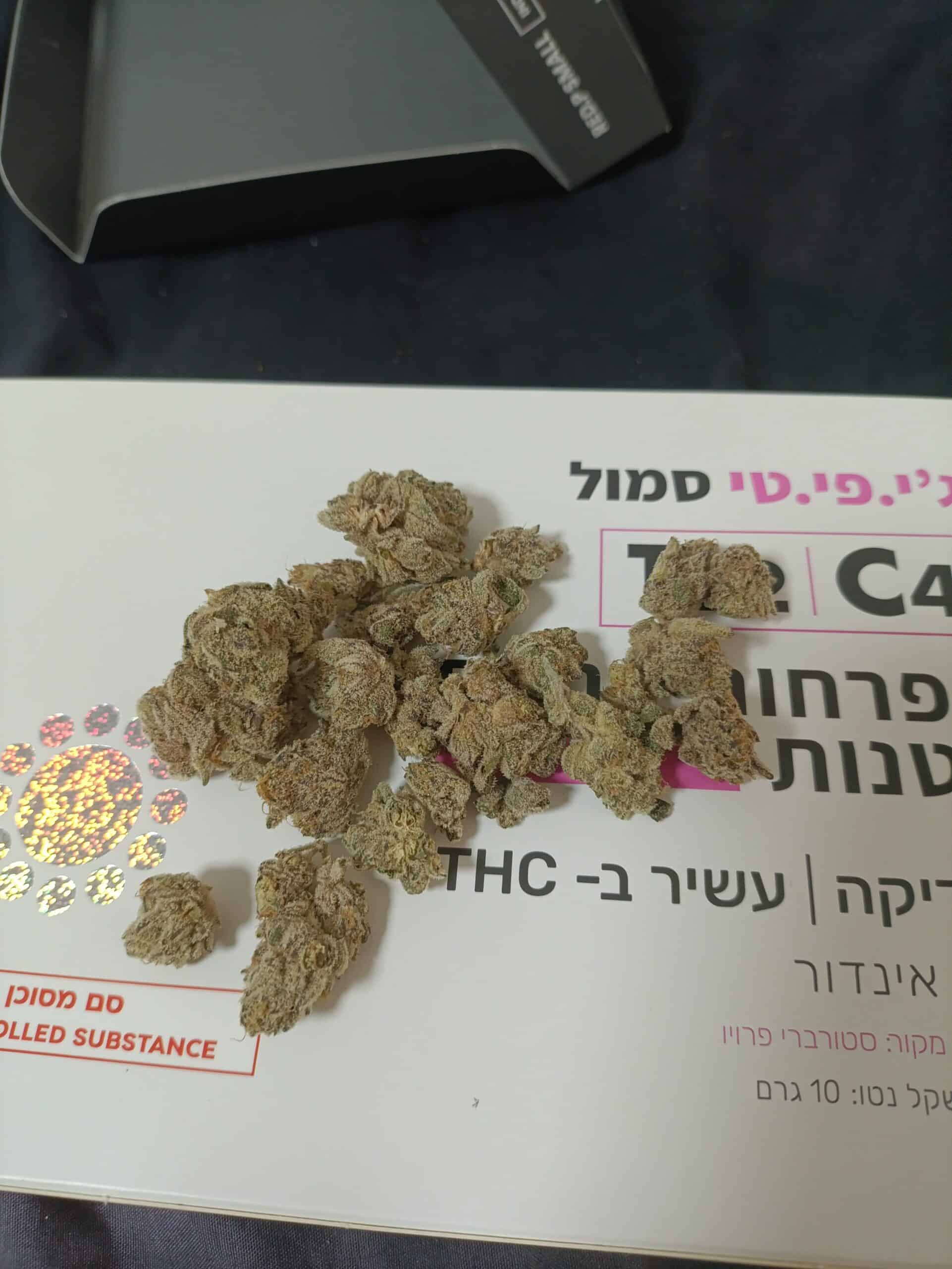 ג'י.פי.טי סמול (G.P.T Small) - אינדיקה T22/C4 – תמונה 4