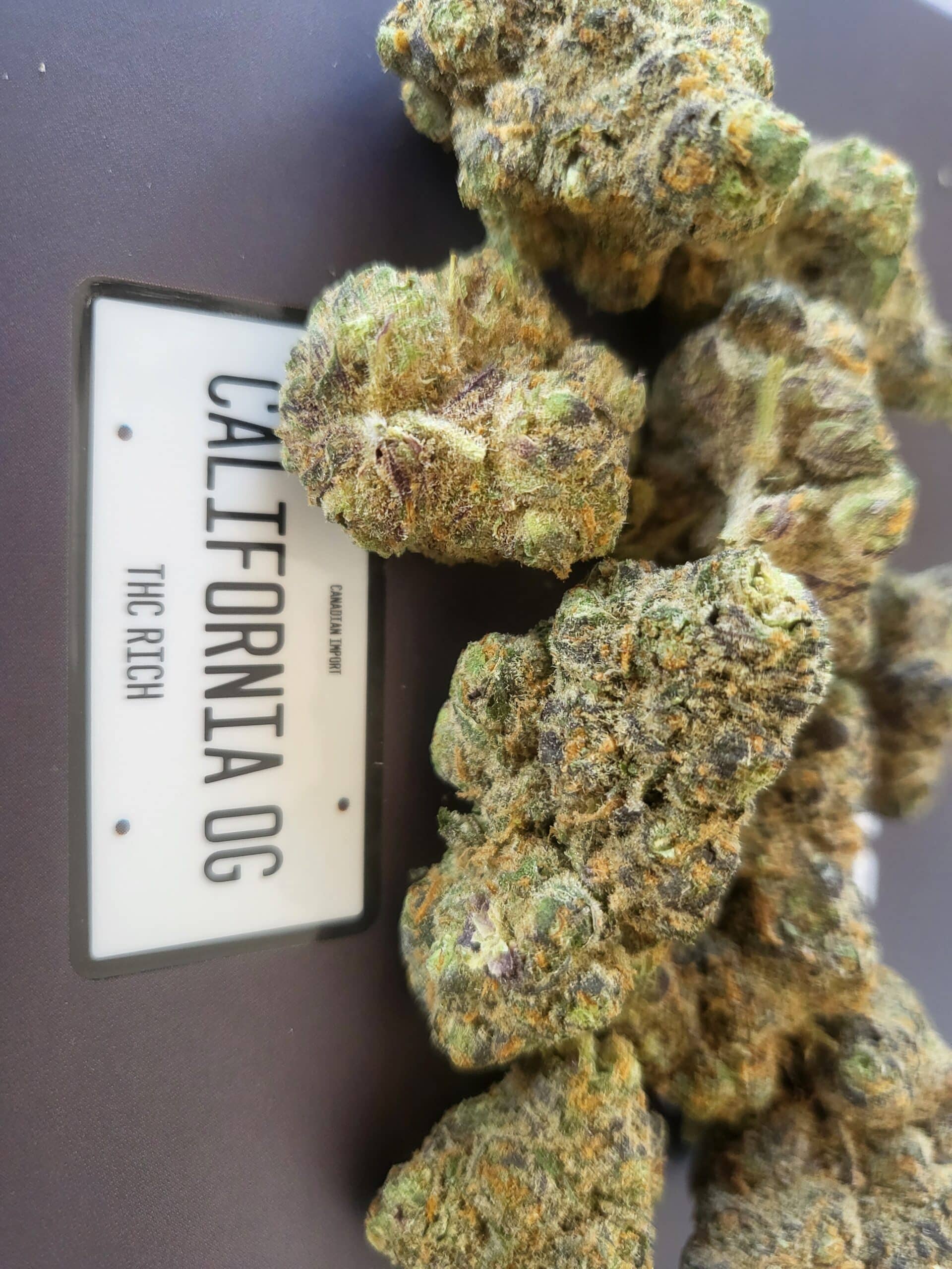 קליפורניה אוג'י (California OG) - היבריד T22/C4 – תמונה 3
