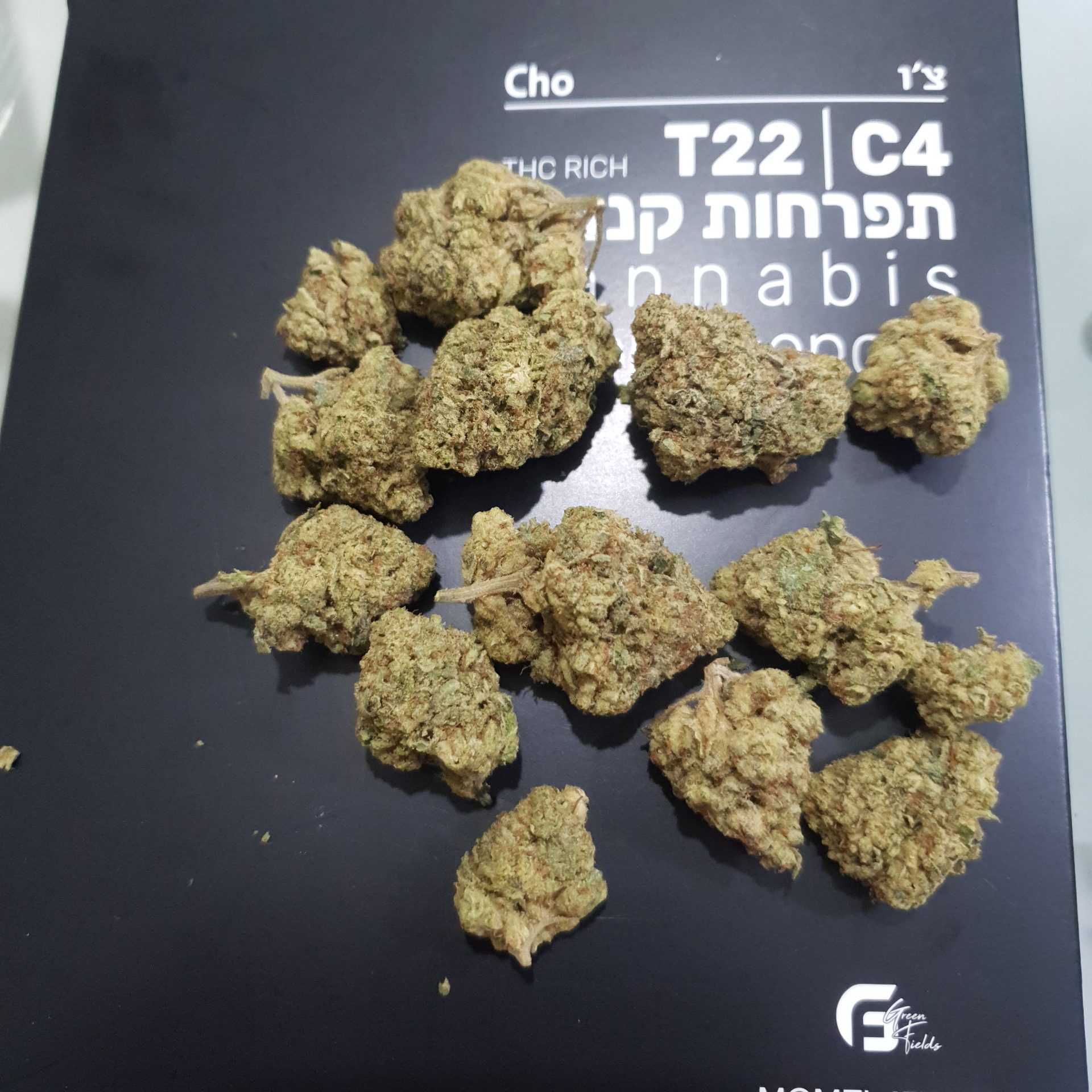 צ'ו (cho) היבריד t22/c4