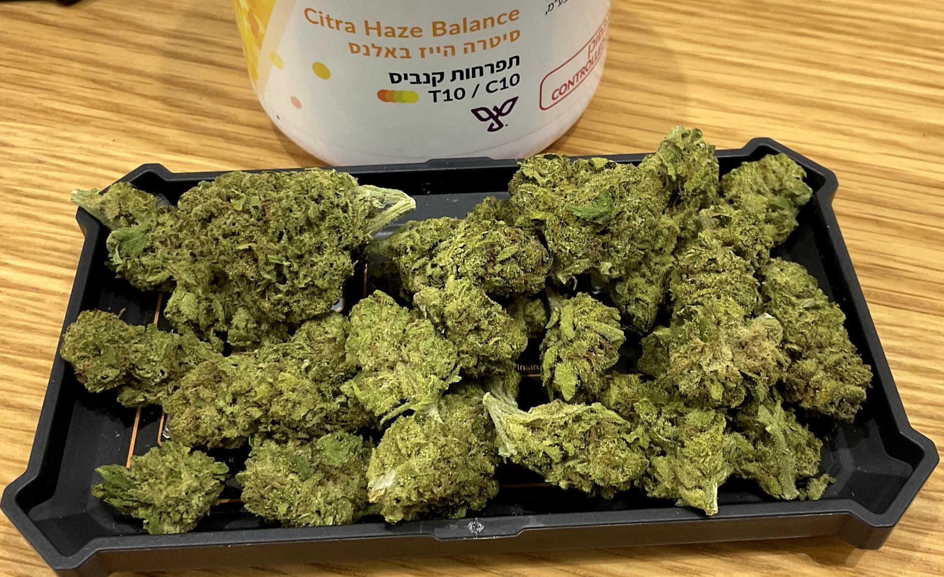 סיטרה הייז (citra haze) סאטיבה t10/c10