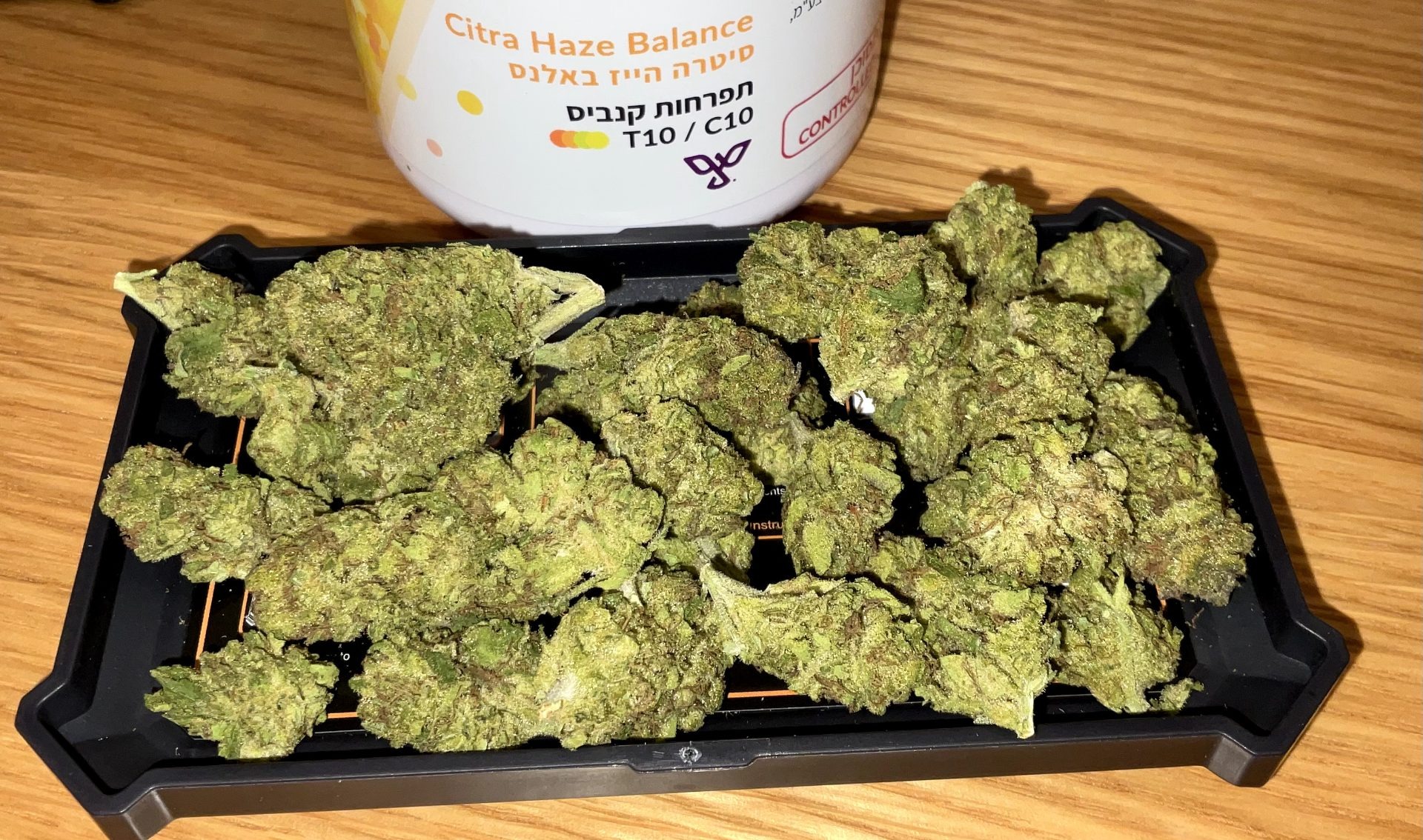 סיטרה הייז (citra haze) סאטיבה t10/c10