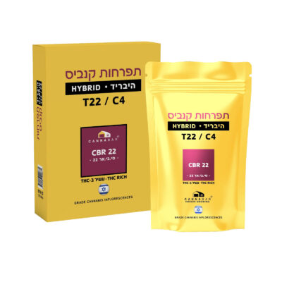 סי בי אר 22 (CBR 22) - היבריד T22/C4