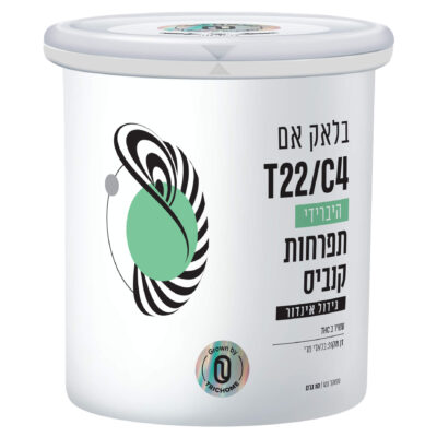 בלאק אם (Black M) - היבריד T22/C4
