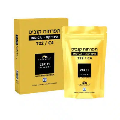 סי בי אר 11 (cbr 11) אינדיקה t22/c4