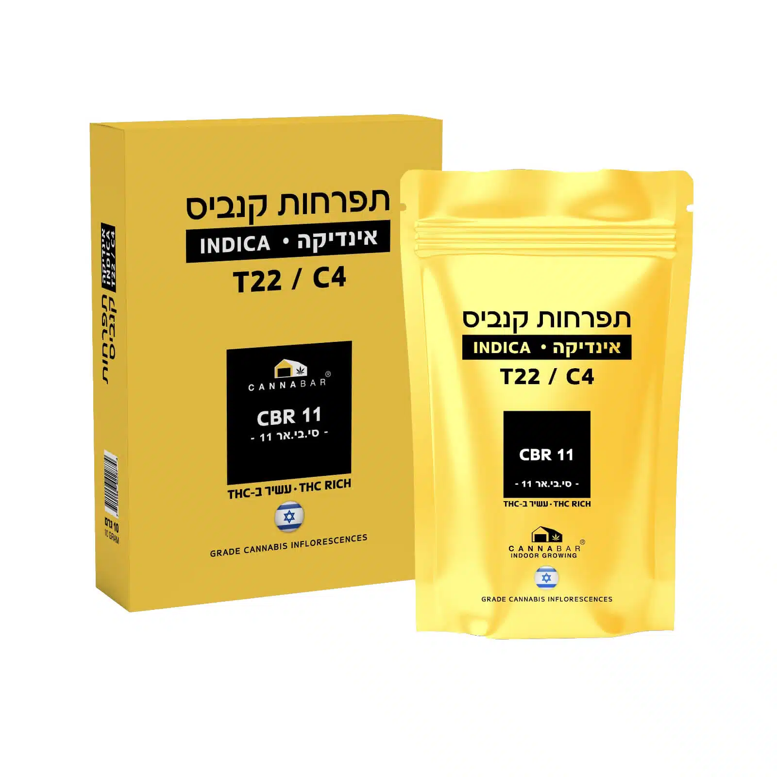 סי בי אר 11 (cbr 11) אינדיקה t22/c4