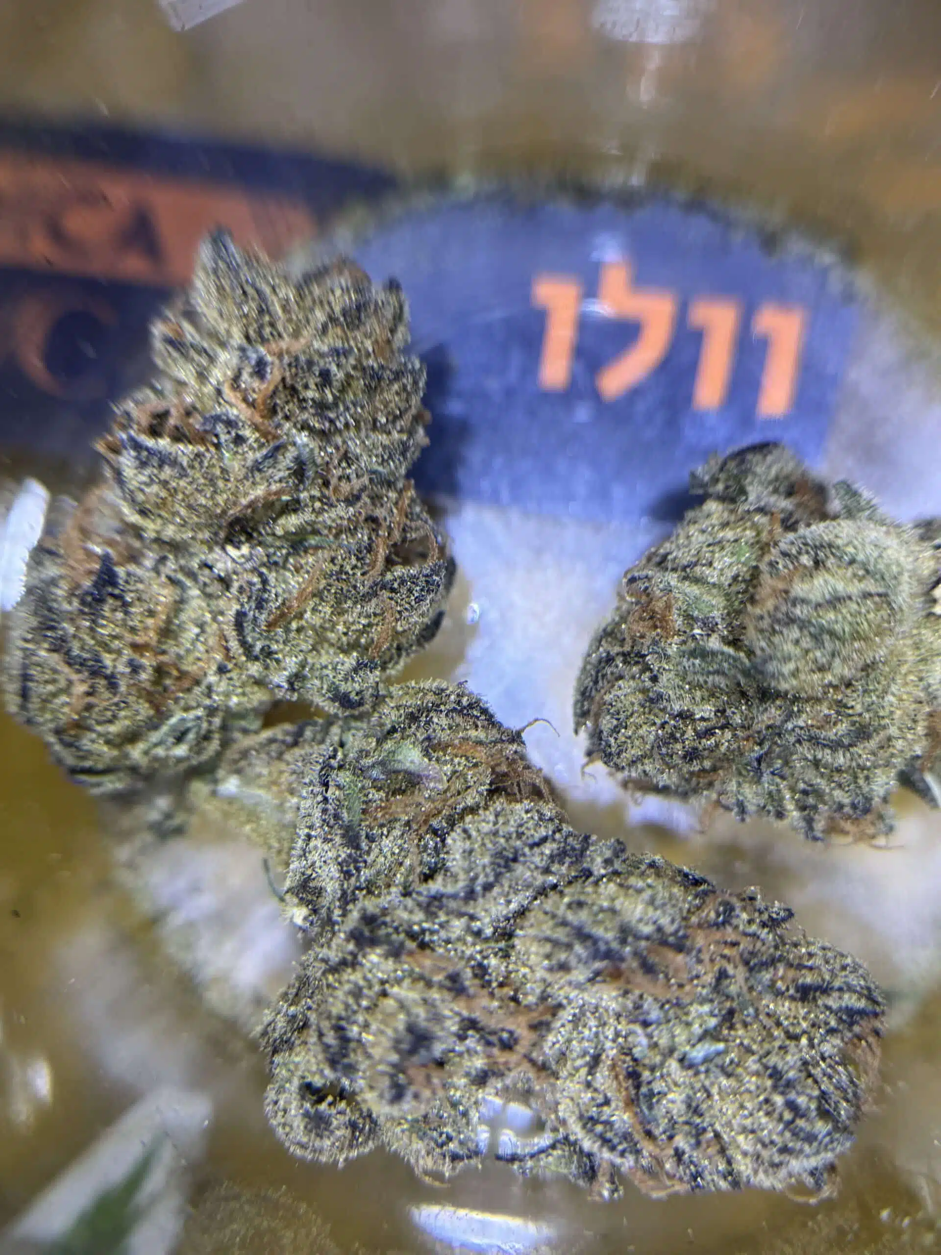 ⁦וולו (Velo) - אינדיקה T22/C4⁩ – תמונה ⁦6⁩