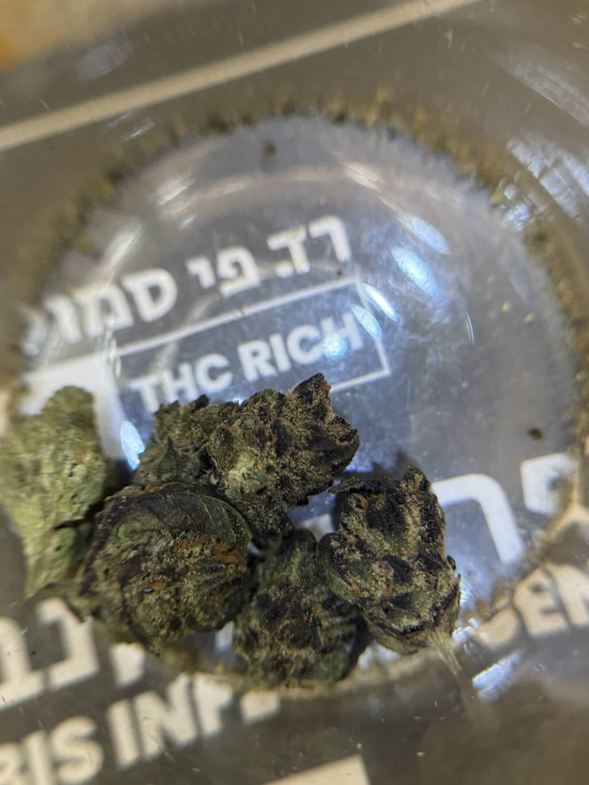 רד.פי סמול (Red.P Small) - אינדיקה T22/C4 – תמונה 4