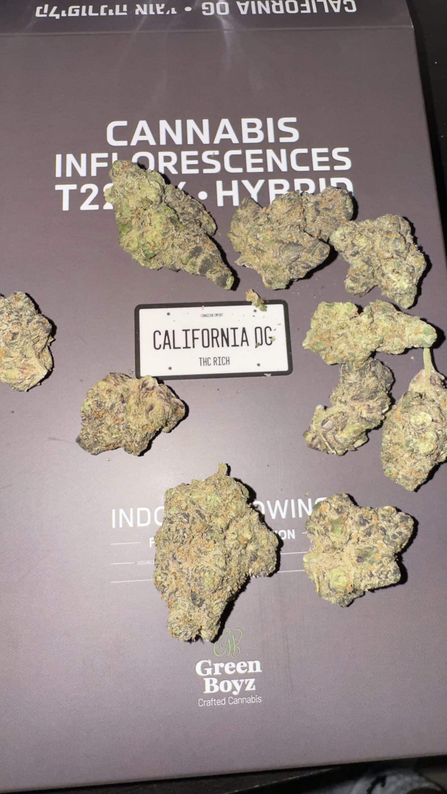 קליפורניה אוג'י (California OG) - היבריד T22/C4 – תמונה 5