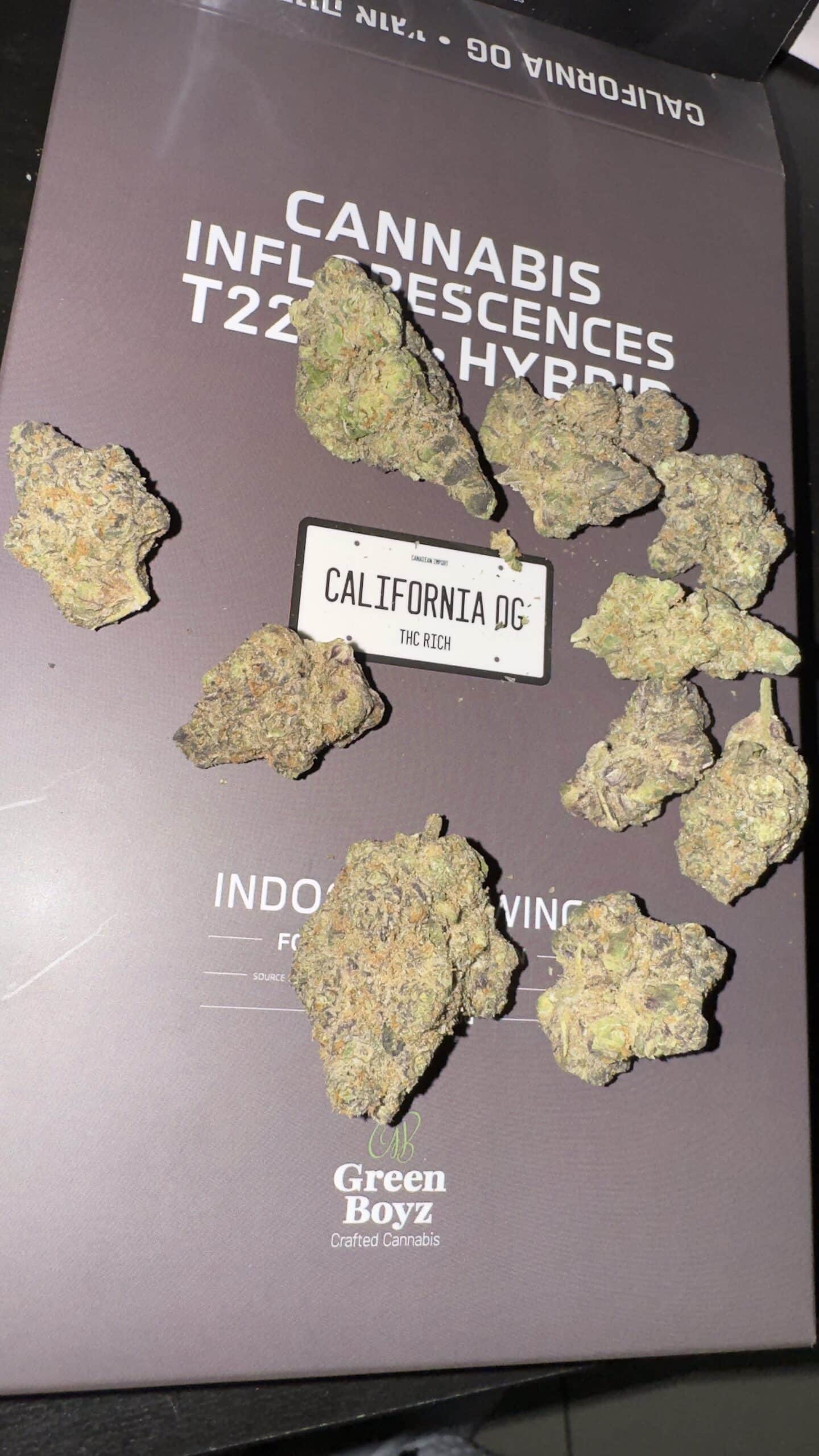 קליפורניה אוג'י (California OG) - היבריד T22/C4 – תמונה 6